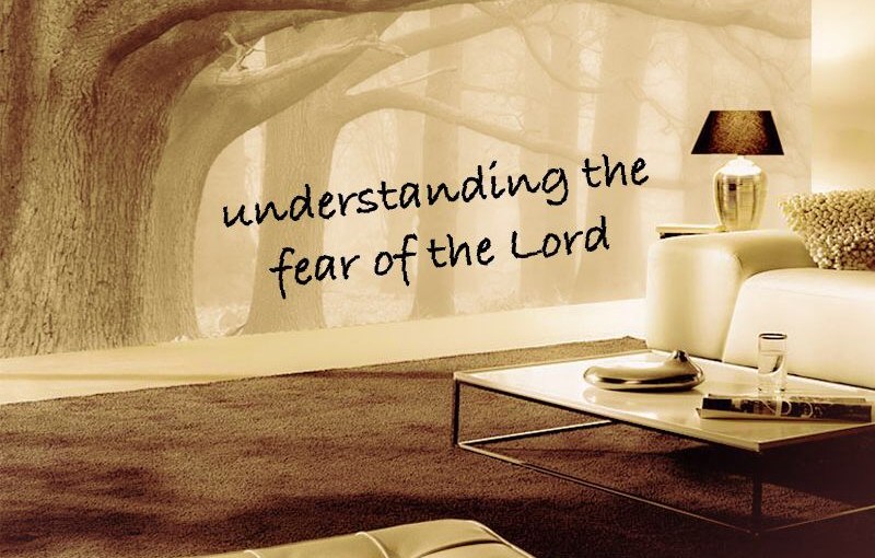 Wisdom Series- Understanding the Fear of the&nbsp;Lord